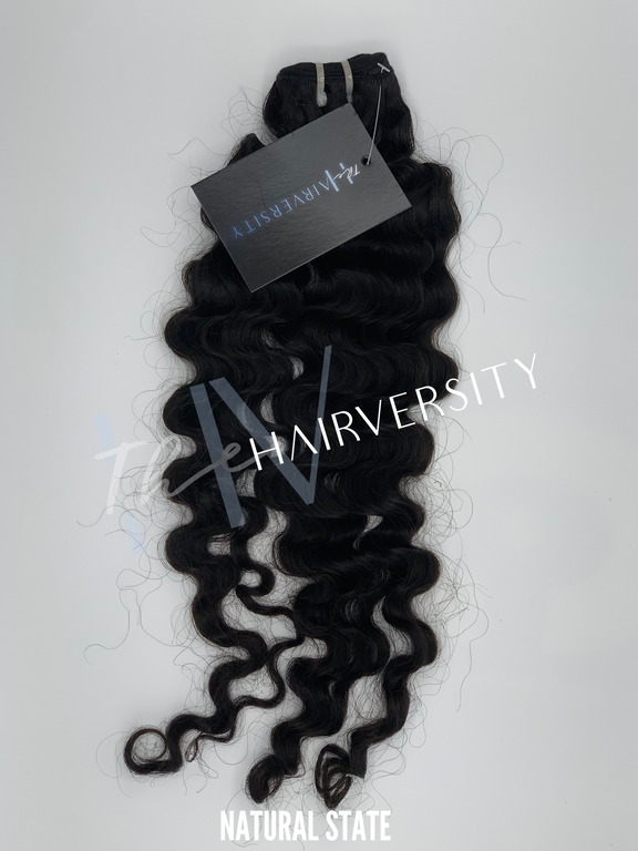 Burmese Tropical Curly